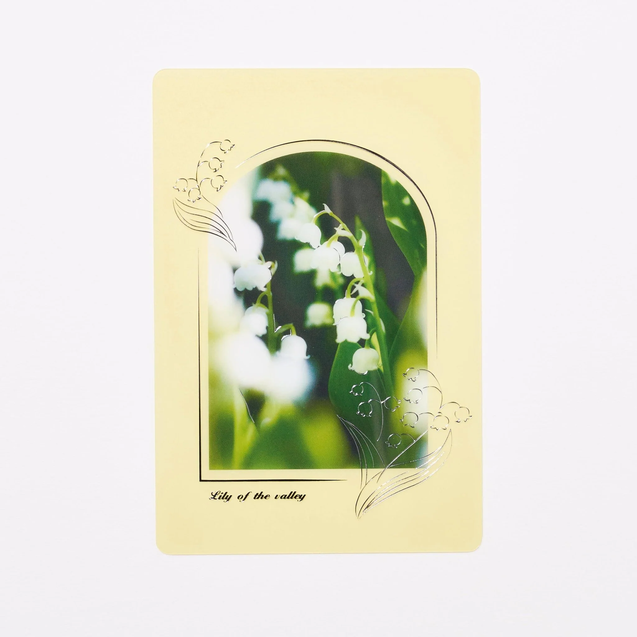Transparent Card / RYU-RYU - Image 8
