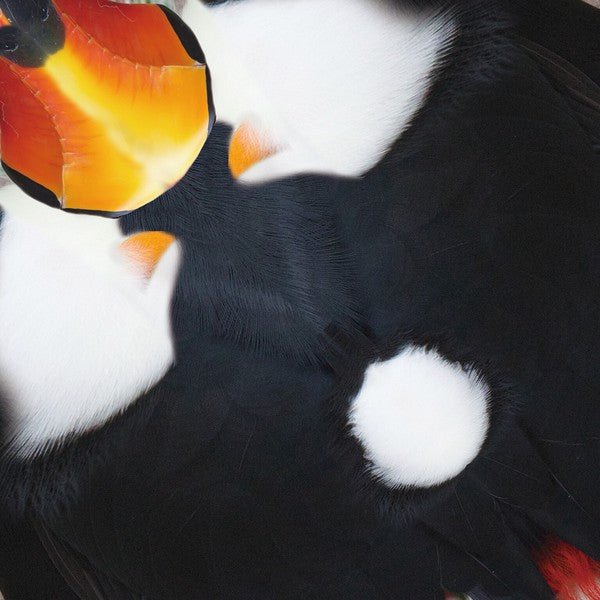 Tropical Bird Origami Sets / Marumo Printing - Image 3