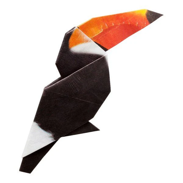 Tropical Bird Origami Sets / Marumo Printing - Image 4