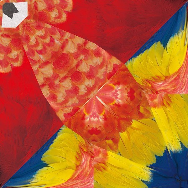 Tropical Bird Origami Sets / Marumo Printing - Image 5