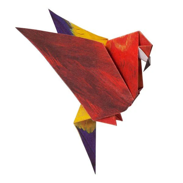 Tropical Bird Origami Sets / Marumo Printing - Image 6