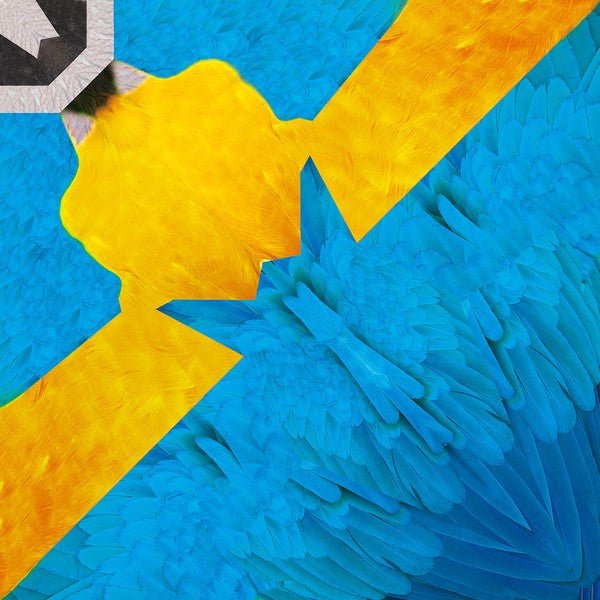 Tropical Bird Origami Sets / Marumo Printing - Image 9