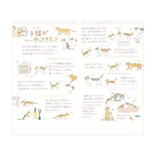 Wall Calendars 2026 / MIDORI - Image 9