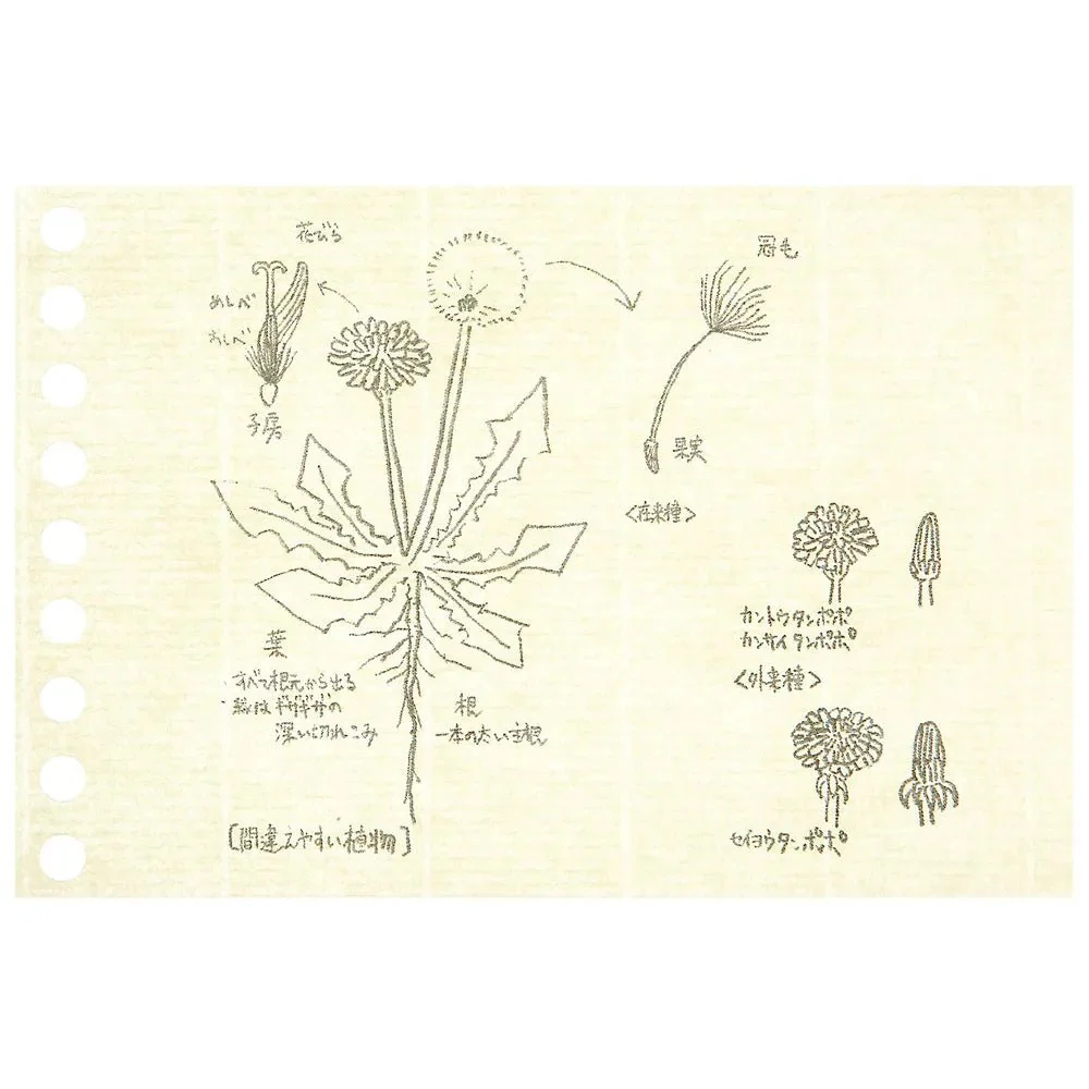Write-Easy Creative Mini Loose Leaf / maruman - Image 3