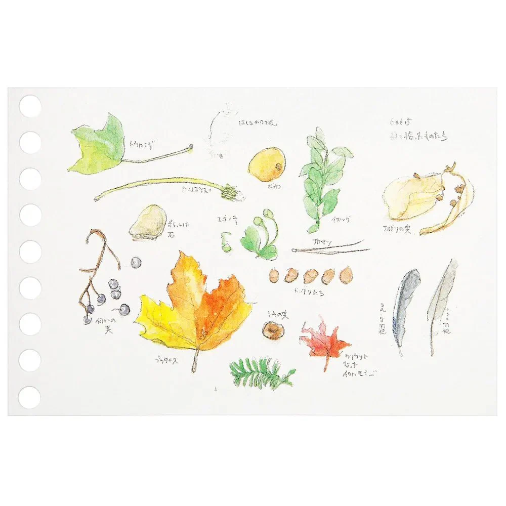 Write-Easy Creative Mini Loose Leaf / maruman - Image 7